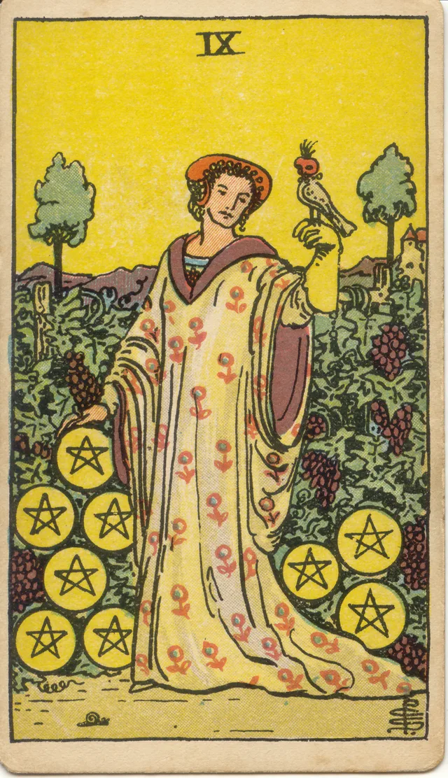 Nine of Pentacles tarot card